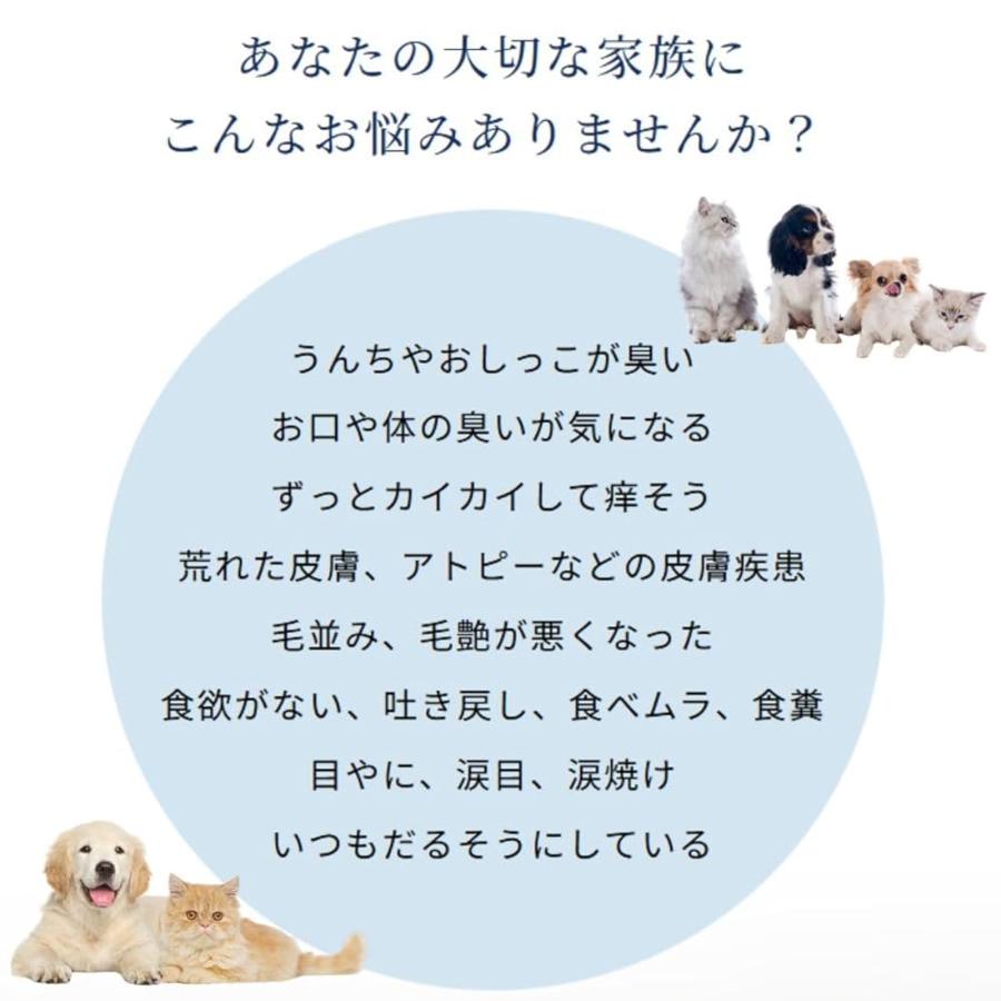 「愛犬と飼い主が元気に暮らす日常シーンとともに、VitalityPlus®︎の特徴や使い方を紹介。粉末サプリをフードに混ぜて与える様子、効果に満足する飼い主の声も収録。」